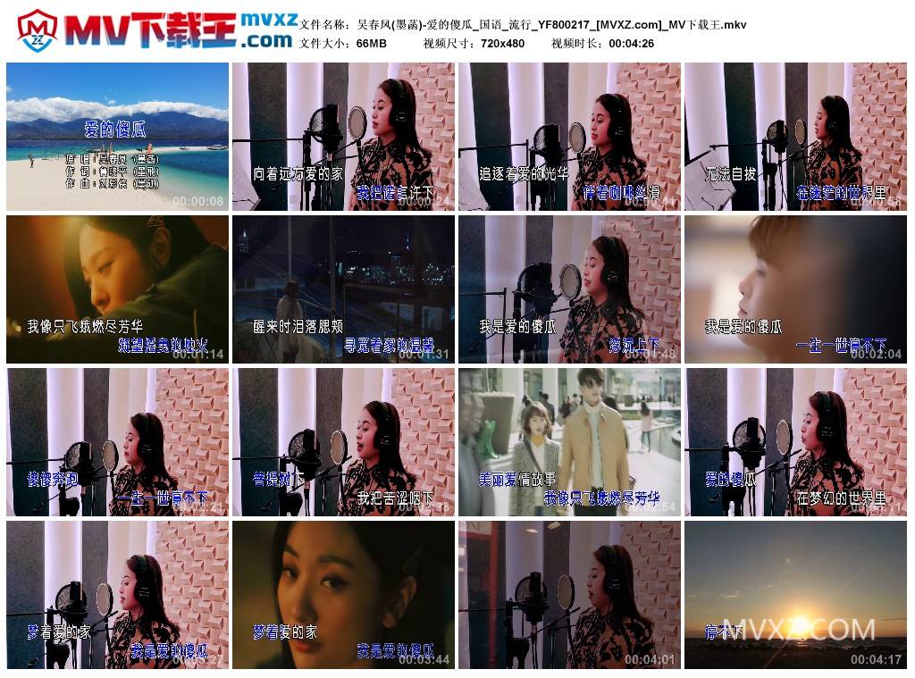 吴春凤(墨菡)-爱的傻瓜_国语_流行_YF800217